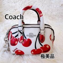 COACH ミニ ローアン バッグ チャーム チェリー ミニバッグ さくらんぼ