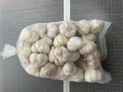 島ニンニク　約1kg 35個前後　沖縄県産のサムネイル