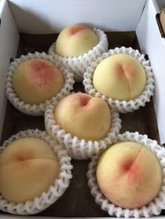 岡山産♡清水白桃♡最終段階！最終値下げ♡のサムネイル