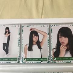 小林由依 生写真 コンプのサムネイル