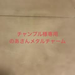 チャンプル様専用　のあさんメタルチャームのサムネイル