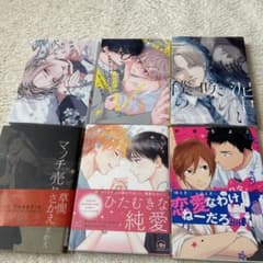 BLコミック 6冊セット BL小説 BL新刊 組み替えOK - メルカリ