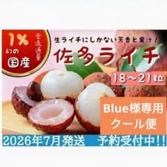 38-39 下田様クール便2箱 鹿児島県産 生ライチ18〜21粒 1.Blue様専用クール便鹿児島県産 生ライチ18〜21粒 農薬化学肥料不使用