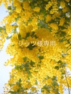 リッツ様専用のサムネイル