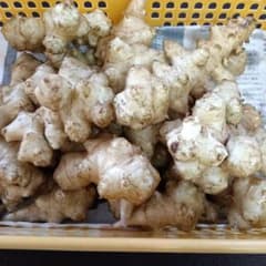 新鮮 菊芋 詰め合わせ 自然栽培 熊本県産のサムネイル