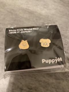 Stray Kids World Tour ピアス skzooのサムネイル