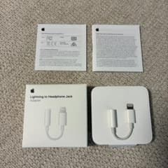 Lightning earphones Jack Apple Genuine Conversion Adapter