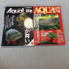 月刊アクアライフ 2冊セット 大型魚特集のサムネイル