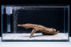 天然流木のサムネイル