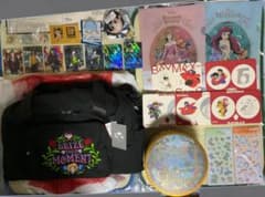 ディズニー ベイマックス リメンバー・ミー ツイステッド