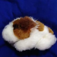 ハイジ ぬいぐるみ 犬 ヨーゼフのサムネイル