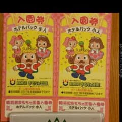 ワイルドブルー様専用　軽井沢おもちゃ王国　入園券　小人のサムネイル
