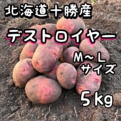 北海道十勝産 デストロイヤーＭ～Ｌサイズ ５kgのサムネイル