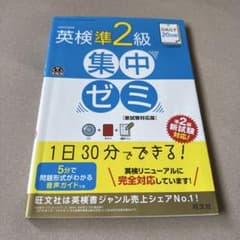 DAILY20日間英検準2級集中ゼミ : 一次試験対策のサムネイル