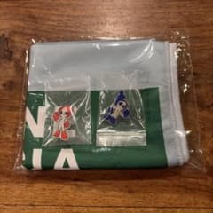 【新品未開封】愛知・名古屋アジア大会 ホノホン＆ウズミン ピンバッジ2個＋タオル