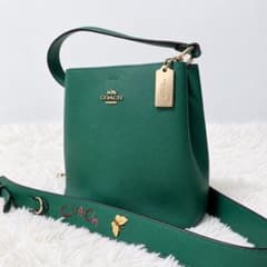 COACH C8519 スモールタウン バケットバッグ 刺繍 グリーン - メルカリ