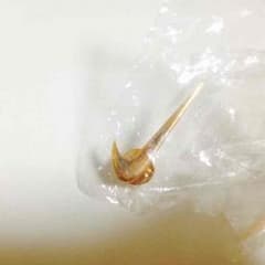 una様専用のサムネイル
