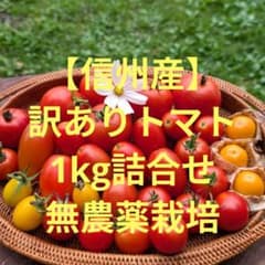 ①【信州産】訳ありトマト1kgセット　食用ホウズキオマケ付きのサムネイル