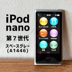 Apple iPod nano 第7世代 本体 スペースグレイ - メルカリ