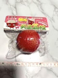 新品 スクイーズ ライチ おもちゃ 玩具 海外のサムネイル