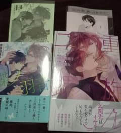 新品未読品 吉原理恵子「蝶ノ羽音 二重螺旋 15巻」「二重螺旋 ３巻」円陣闇丸のサムネイル