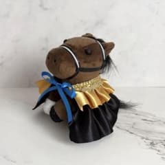 競馬 アイドルホース Sサイズ用 マント風 衣装(黒・黄・青系) - メルカリ