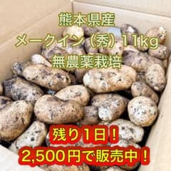 熊本県産 メークイン 秀 11kg 無農薬栽培 - メルカリ