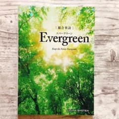 総合英語Evergreenのサムネイル