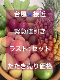 沖縄　New南国フルーツset 緊急値引き⁉️ ラスト1セット❗️たたき売り価格❗️のサムネイル