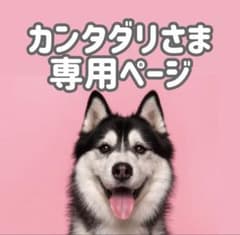 BM18◯○ カンタダリ様専用ページ○◯ - メルカリ