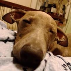 ☆えりゅうと☆様専用‼︎‼のサムネイル