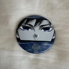 Demon Slayer: Kimetsu no Yaiba Pillar Exhibition Matte Can Badge - Giyu Tomioka