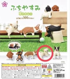 ふちやすみ 色々わんこ チワワ フィギュアのサムネイル