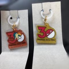 ポケモン 30周年 アクリルチャーム 2種　ヒノアラシ　ビリリダマのサムネイル