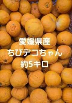 愛媛県産ちびデコちゃん訳ありのサムネイル