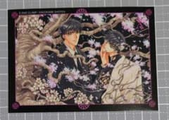 53】CLAMP X エックス ペアカードNo.8 皇昴流 桜塚星史郎 - メルカリ