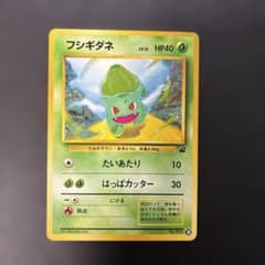 ポケモンカード旧裏 フシギダネ フシギダネマーク 7n2 - メルカリ