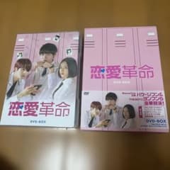 恋愛革命 DVD-BOX〈4枚組〉　韓国ドラマ