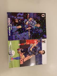 サッカー　日本代表　カルビーポテトチップス　カードのサムネイル