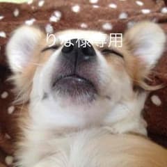 りな様専用 iPhone5・5Sケース ゴシップガールのサムネイル