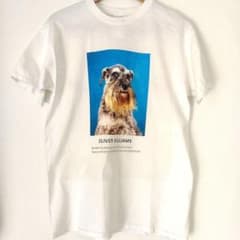 Tシャツ FRUIT OF THE LOOM シュナウザー 犬 - メルカリ