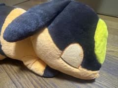 ポカブ 等身大 初夢ぬいぐるみ ポケモンセンター 2012のサムネイル