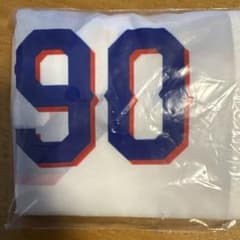 中日ドラゴンズ マルチバッグ 90のサムネイル