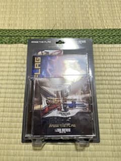 RAISE THE FLAG(CD+DVD&DVD2枚組)(初回生産限定盤)のサムネイル