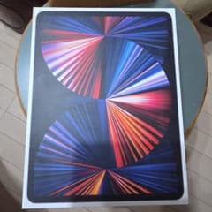 【美品】iPad Pro 12.9インチ 第5世代 256GB スペースグレイのサムネイル