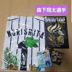 阪神タイガース 2026年 宜野座キャンプ限定モデル ベースボールシャツ