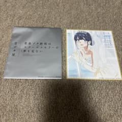 Sora-sama, Blue Pig Exhibition, Rascal Does Not Dream of School Memories, Shoko Makinohara, Autographed Illustration Board