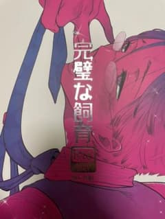 同人誌   完璧な飼育のサムネイル