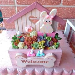 ❤️多肉植物❤️そのまま飾れる寄せ植え❤️うさぎちゃんHouse