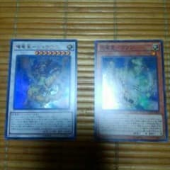 たまちゃんさん　専用のサムネイル